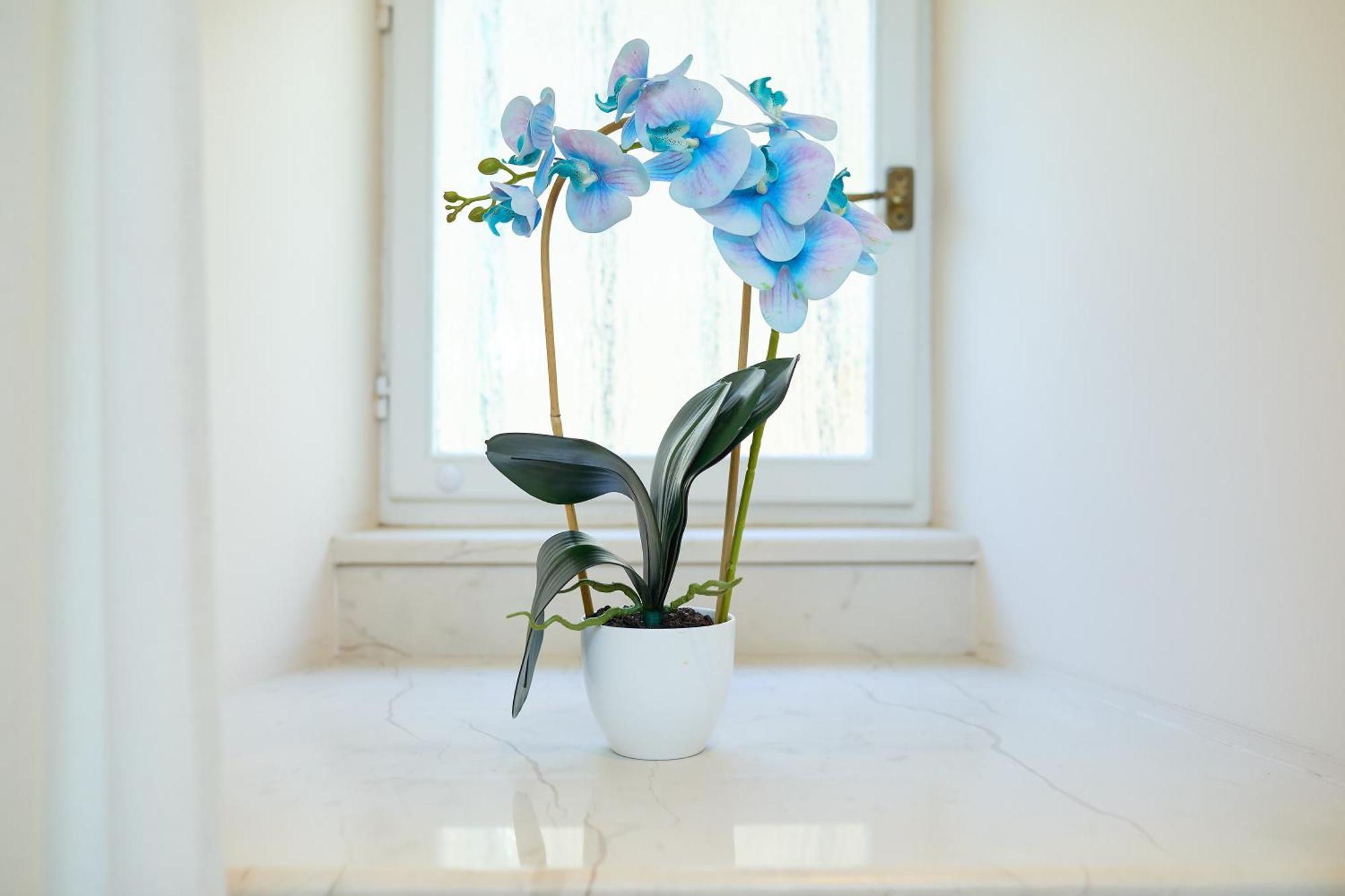 Doria Apartment